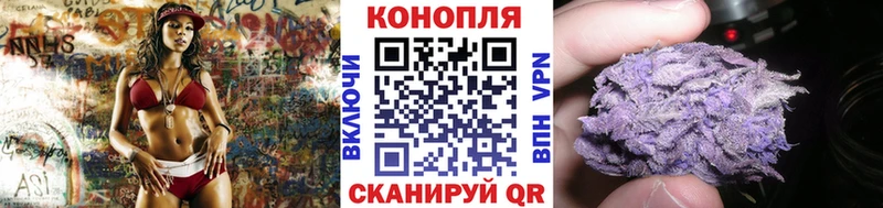 Где можно купить наркотики Онега Псилоцибиновые грибы  A-PVP  Конопля  АМФЕТАМИН  Гашиш  Вейп ТГК  Cocaine 
