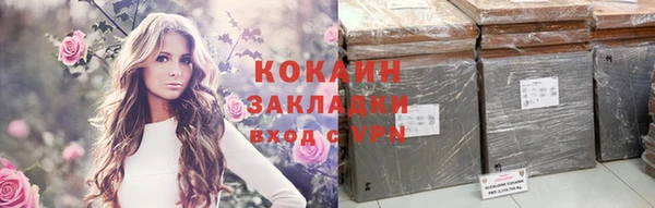 молекула духа Нягань