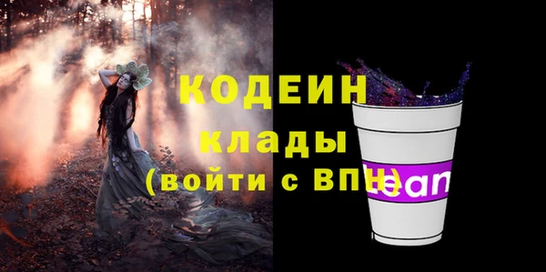 молекула духа Няндома