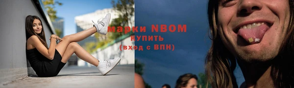 молекула духа Няндома