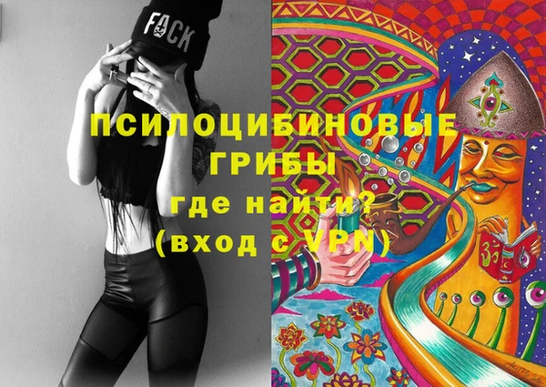 гашик Баксан